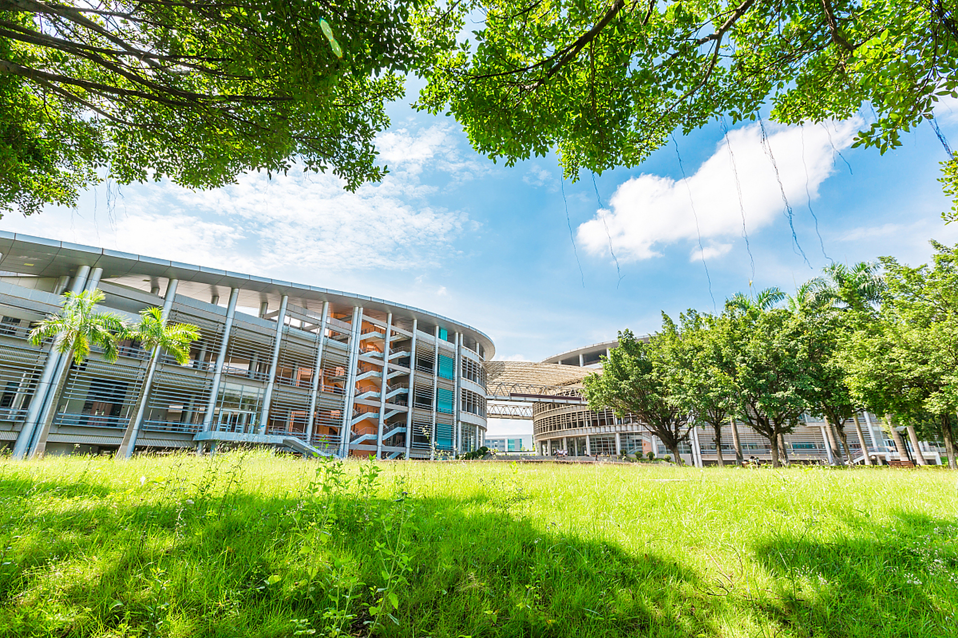 高校食堂放多台彩票机,好意办成了坏事,到底怎么回事,一起探个究竟