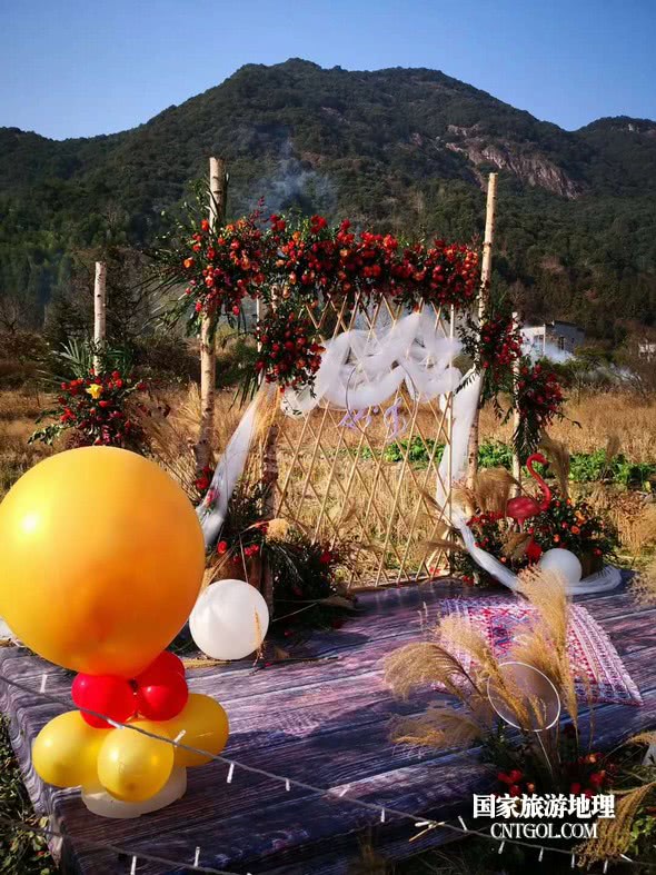 浙江台州,稻田里的婚礼(图)