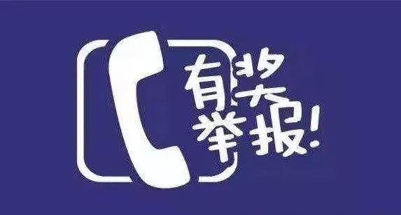 举报成品油违法 最高可获万元奖励 举报电话为12345或3110719