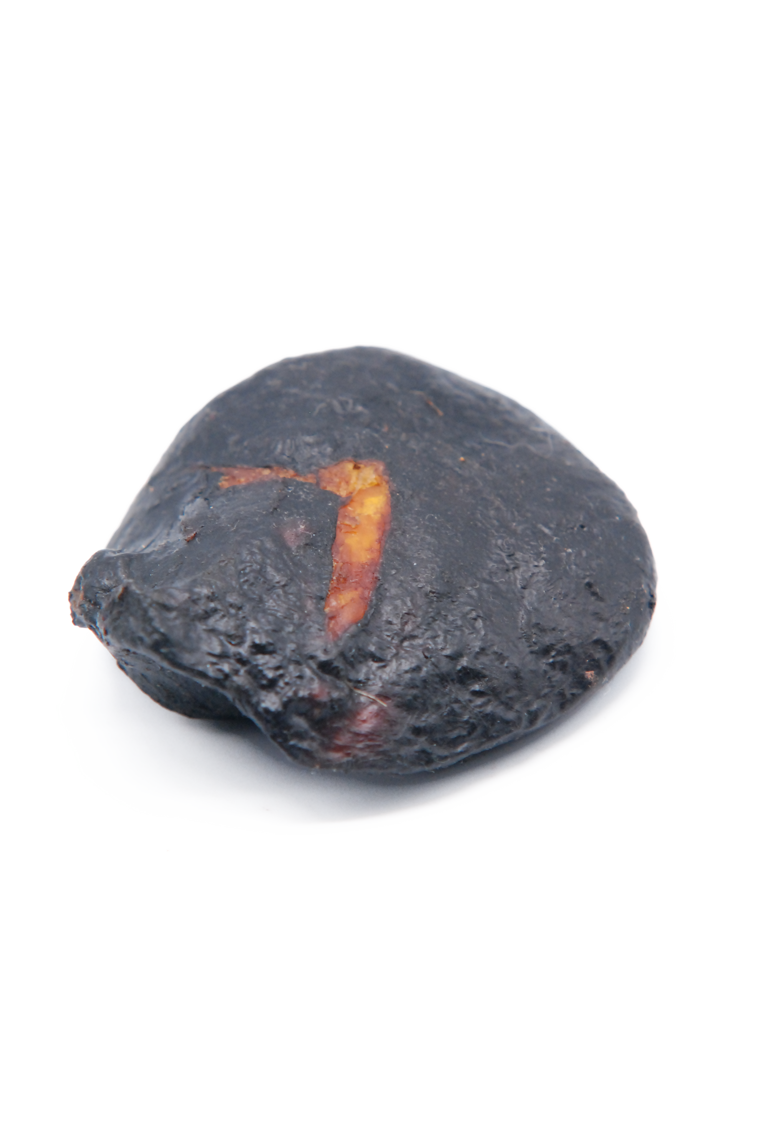 乌骨鸡灵宝是什么?有什么作用呢?