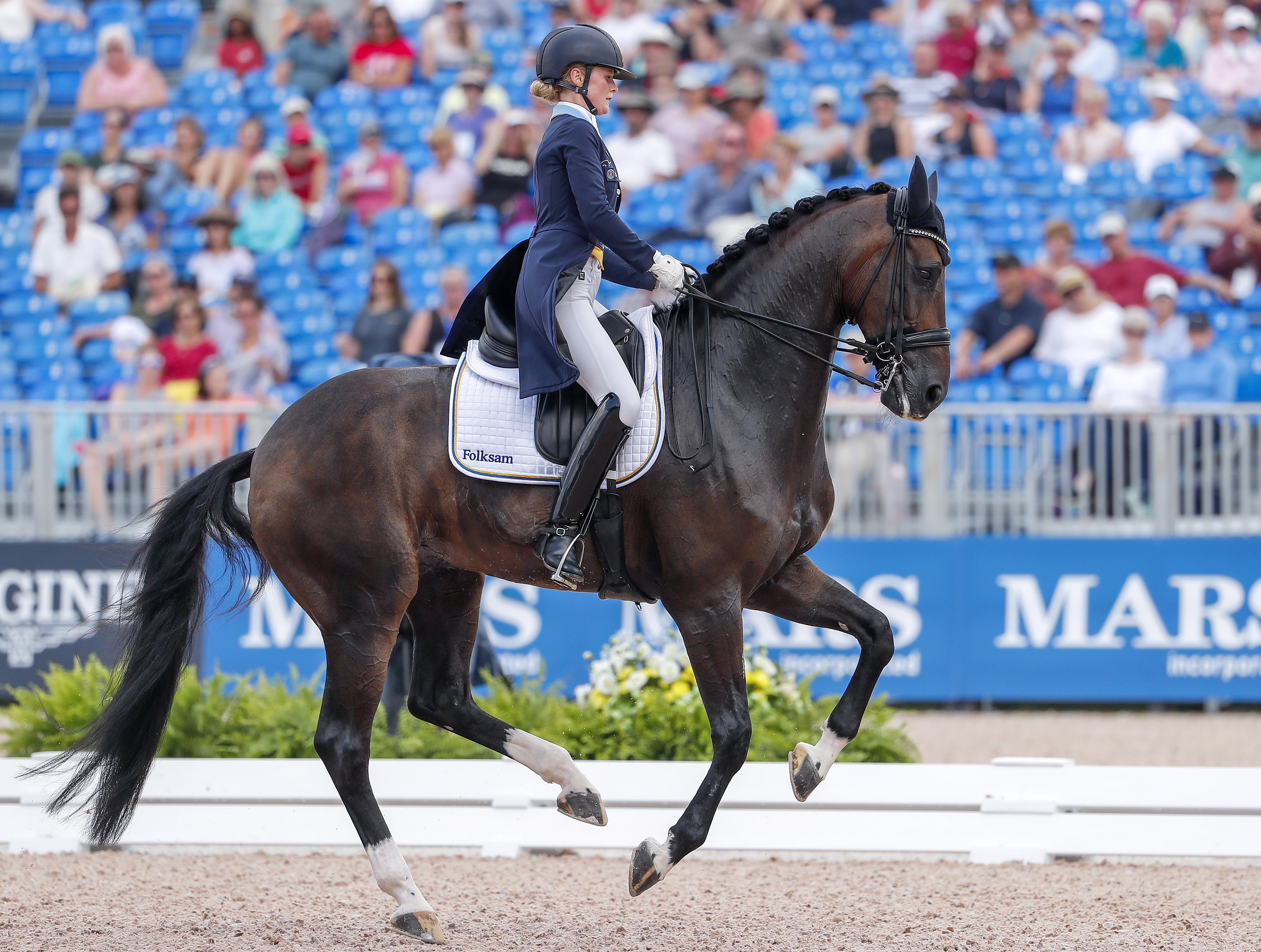 马术——世界运动会赛赛况(36)