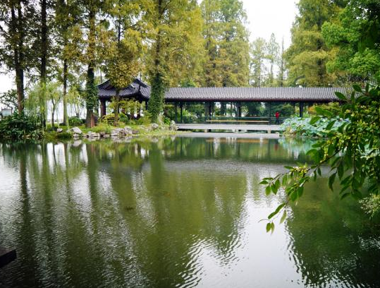 西湖南屏山雷峰北麓的汪庄,你来过吗?