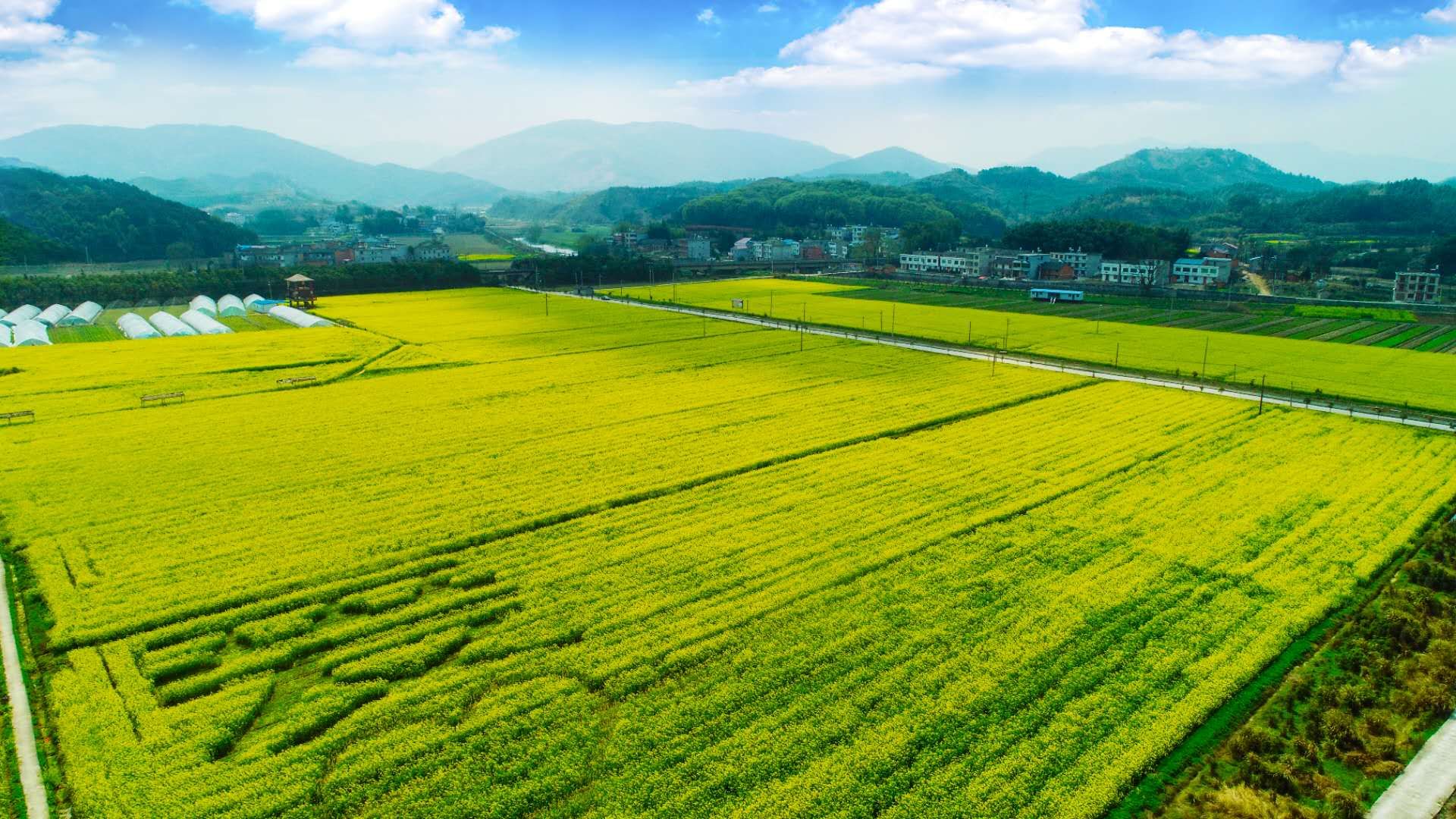 湖北黄石:百年矿区变景区 青山绿水带笑颜