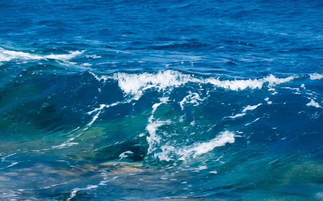 白色的浪花格外的好看,眼前的这个景色也不差,是那样的充满生机