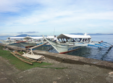 潜水者的福音,菲律宾海豚湾
