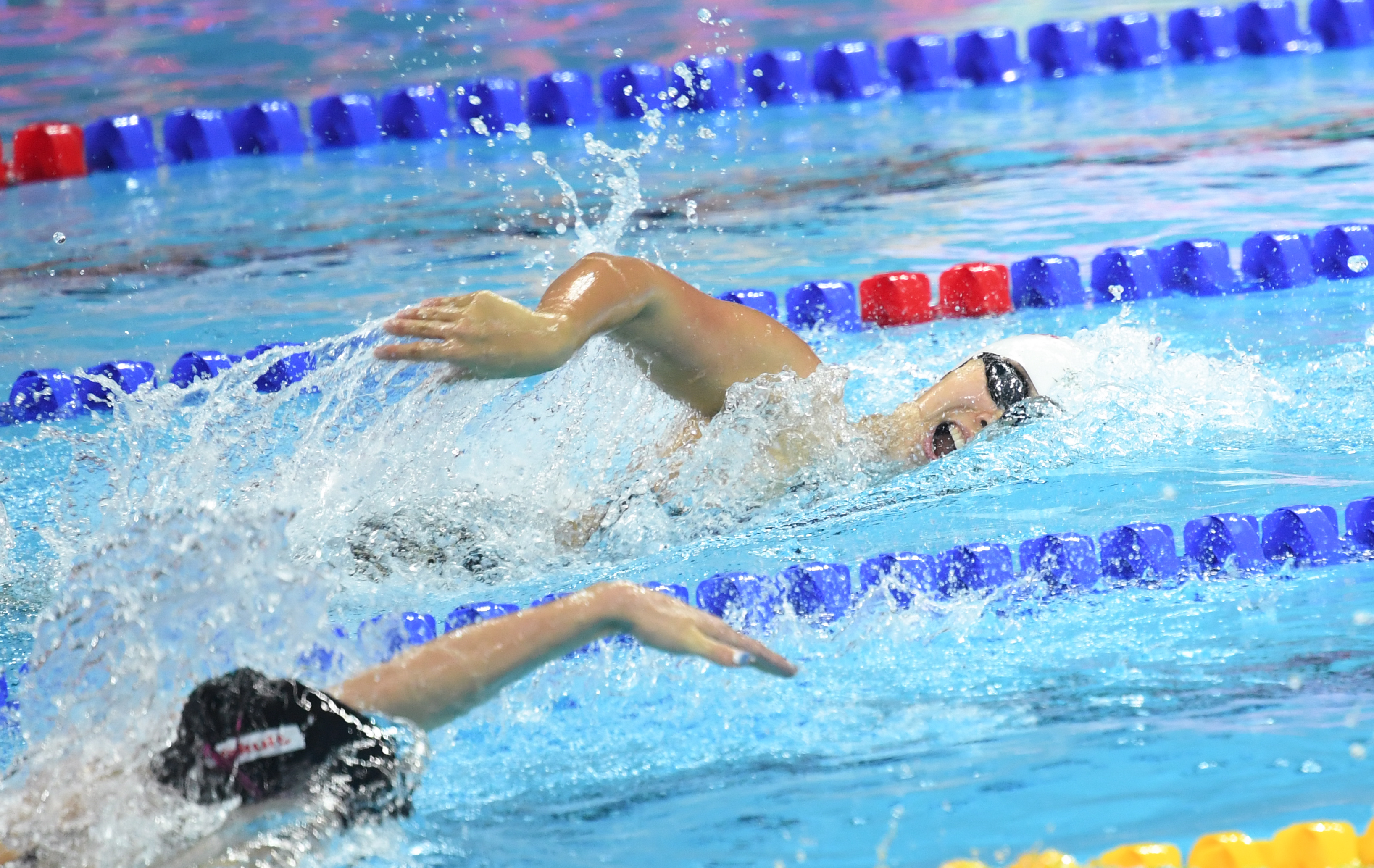 游泳——短池世錦賽:中國隊獲女子4x200米自由泳接力冠軍