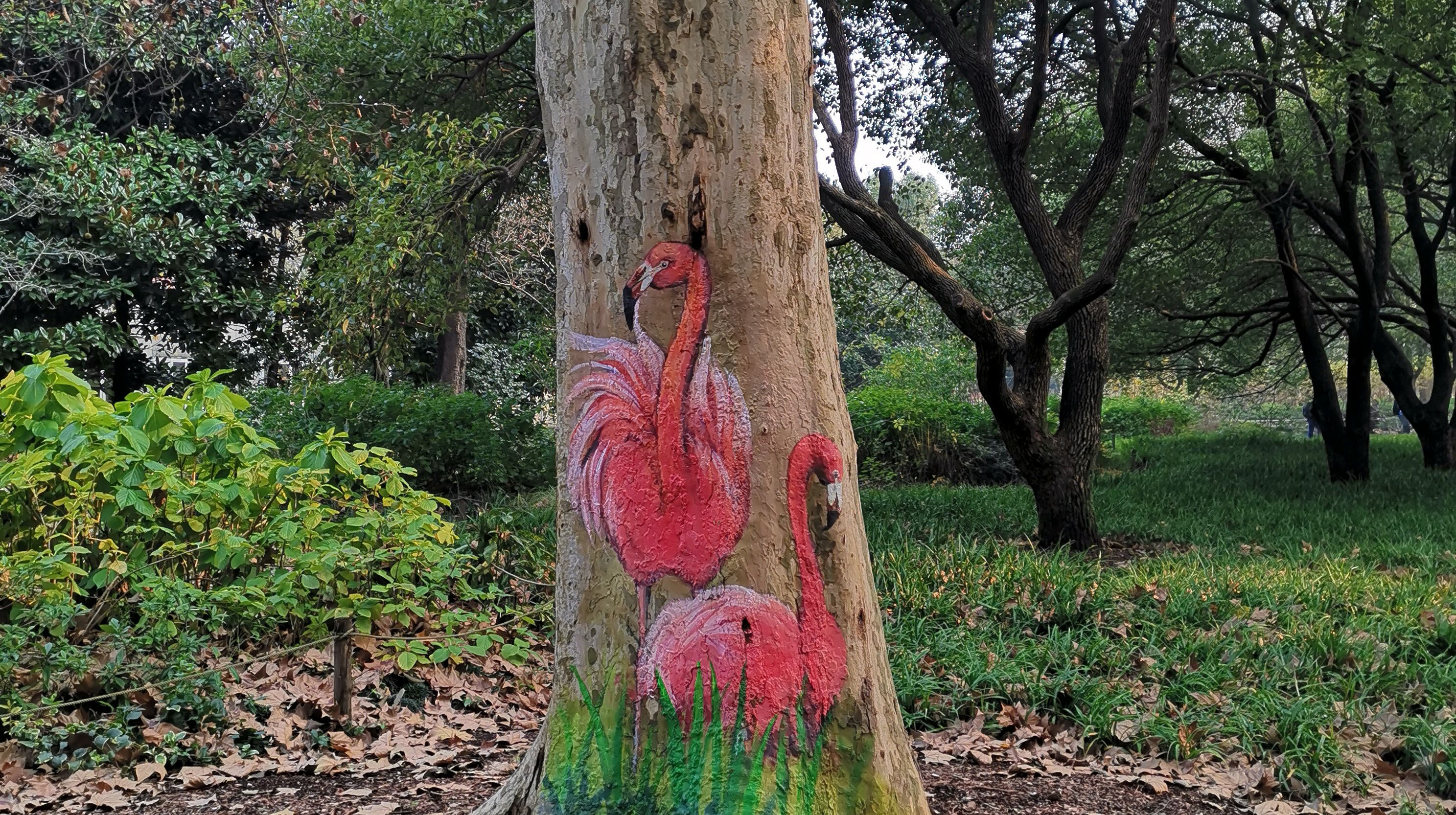 最近的亮点,树上彩绘——长颈鹿