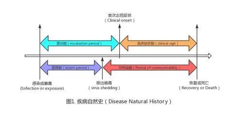 新冠肺炎潜伏期图片