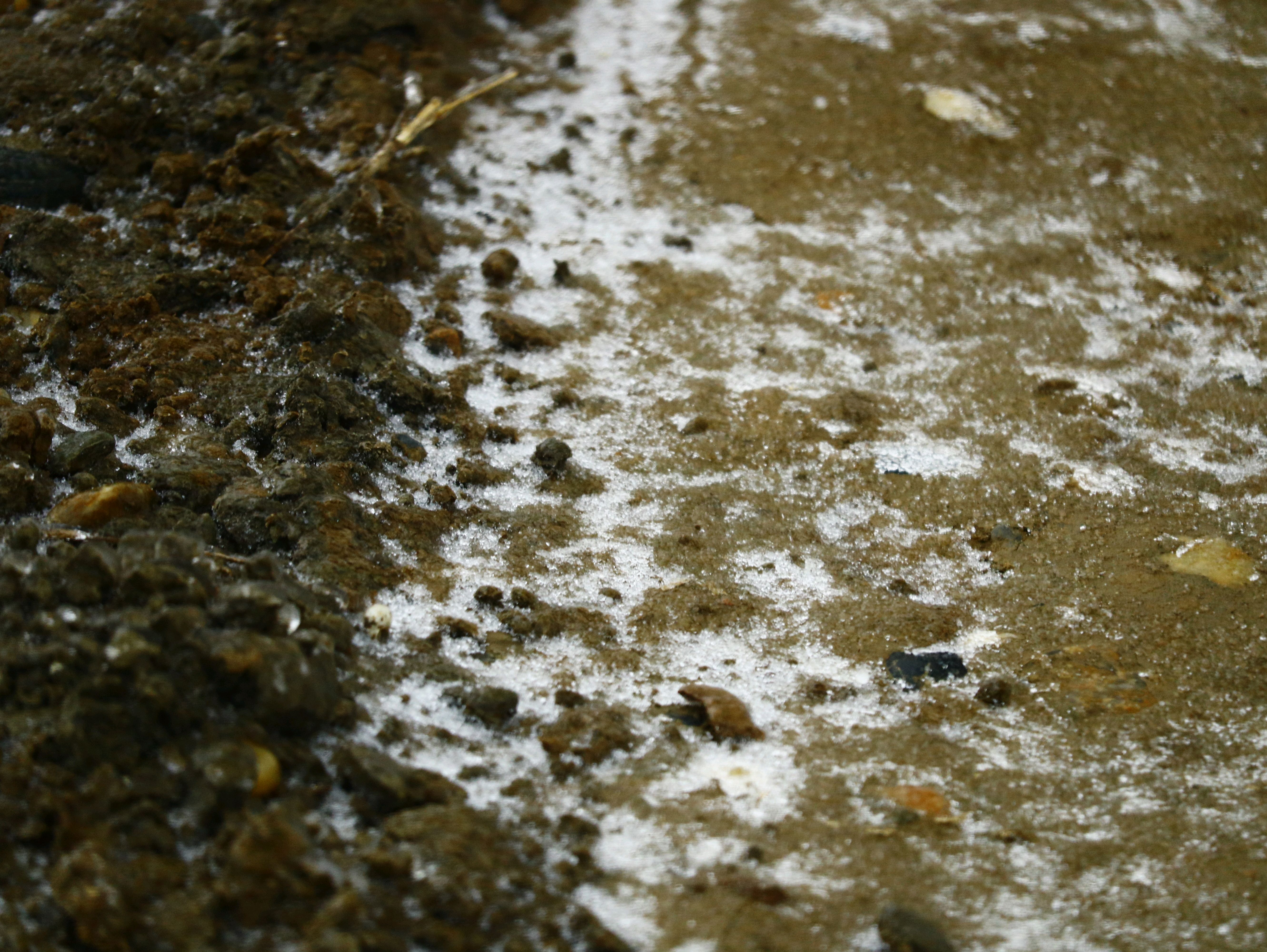 正月初四,荆楚大地一下子被冻住了