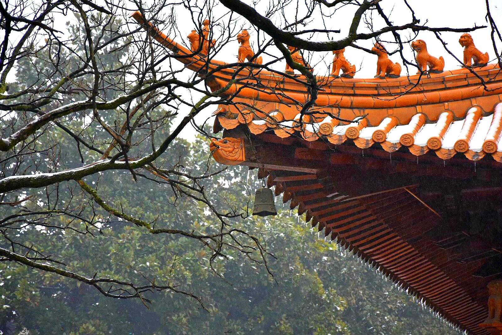 雨打十脊兽,风吹护花铃,阵阵梵音起,吾心向佛门