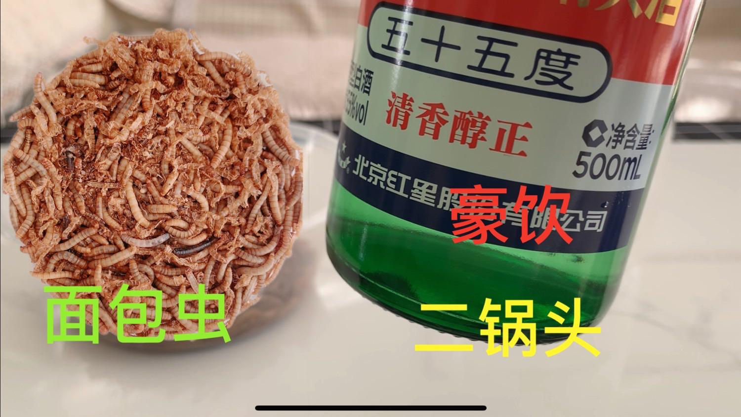 面包虫豪饮二锅头后,结果让我感觉到虫子的生命力果然顽强!