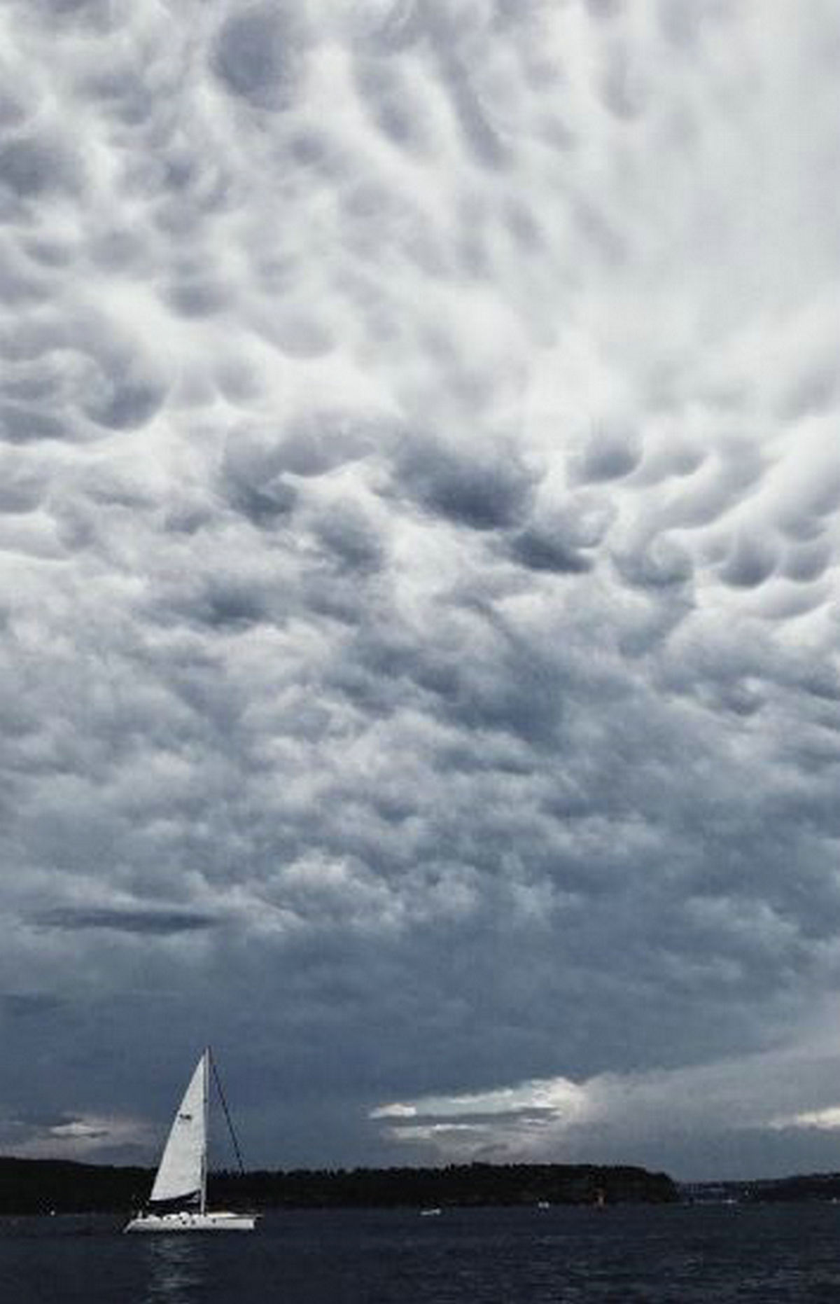 转载自百家号作者:茶马星球视野