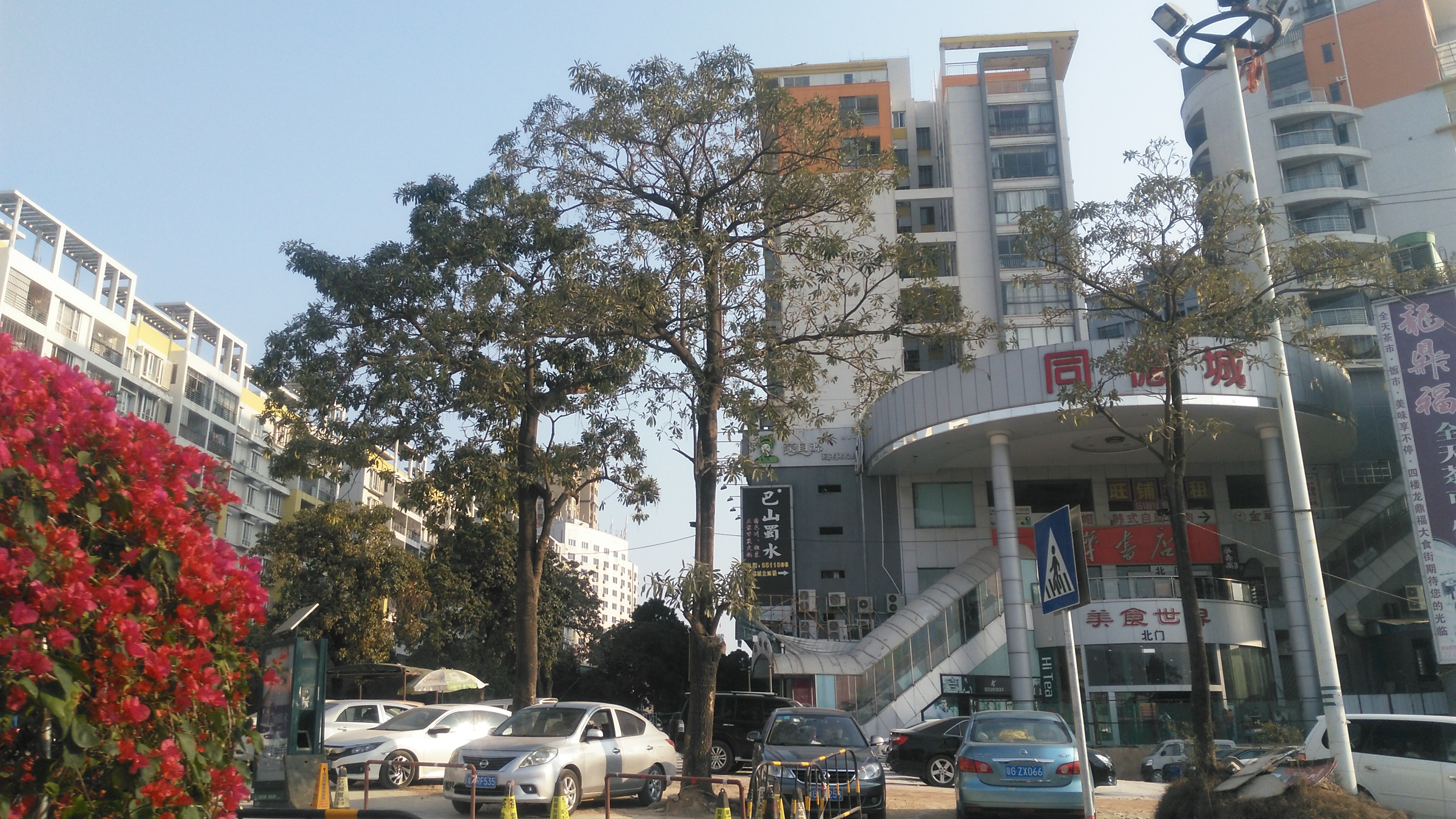 在同德城的对面,眼前这条往北的同德路,就是通往长岐镇高铁出口的主要