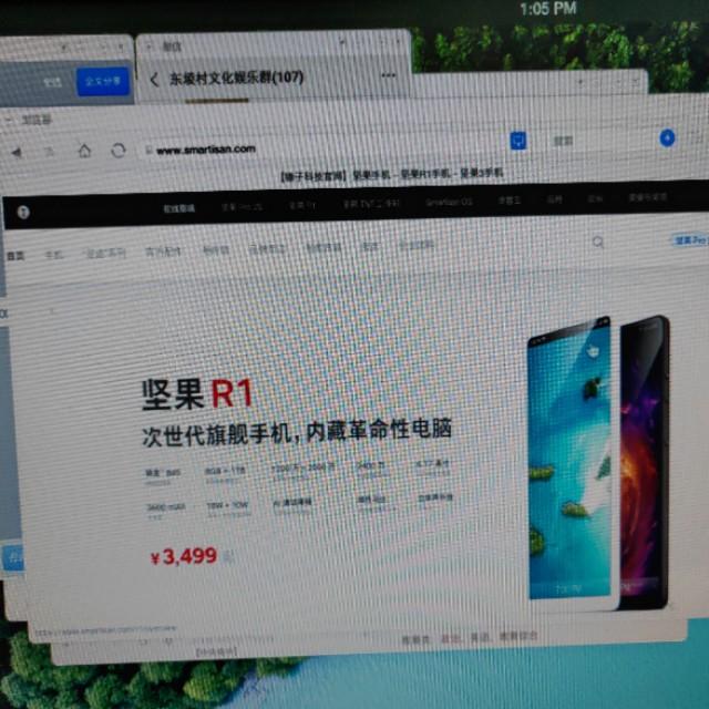 坚果pro2stnt图片