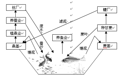 高考地理小专题—基塘农业