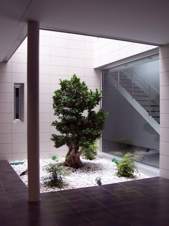 天井房这样设计太精致!10㎡面积,比花园还美,难怪在日本受欢迎