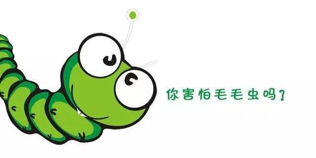 让贝爷都闻风丧胆的毛毛虫刺身,居然是中非南部的特色美食