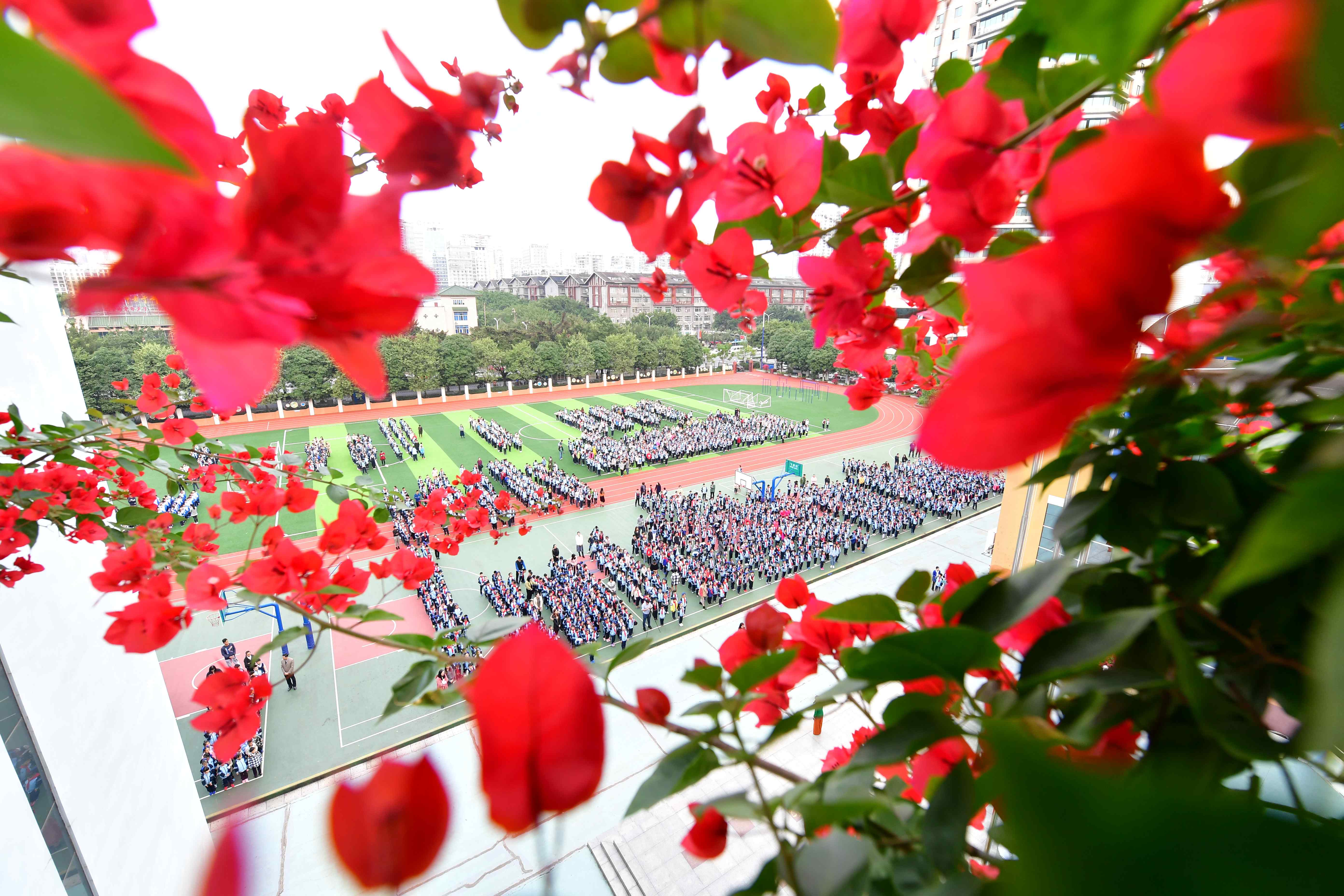 我们的学校似花园