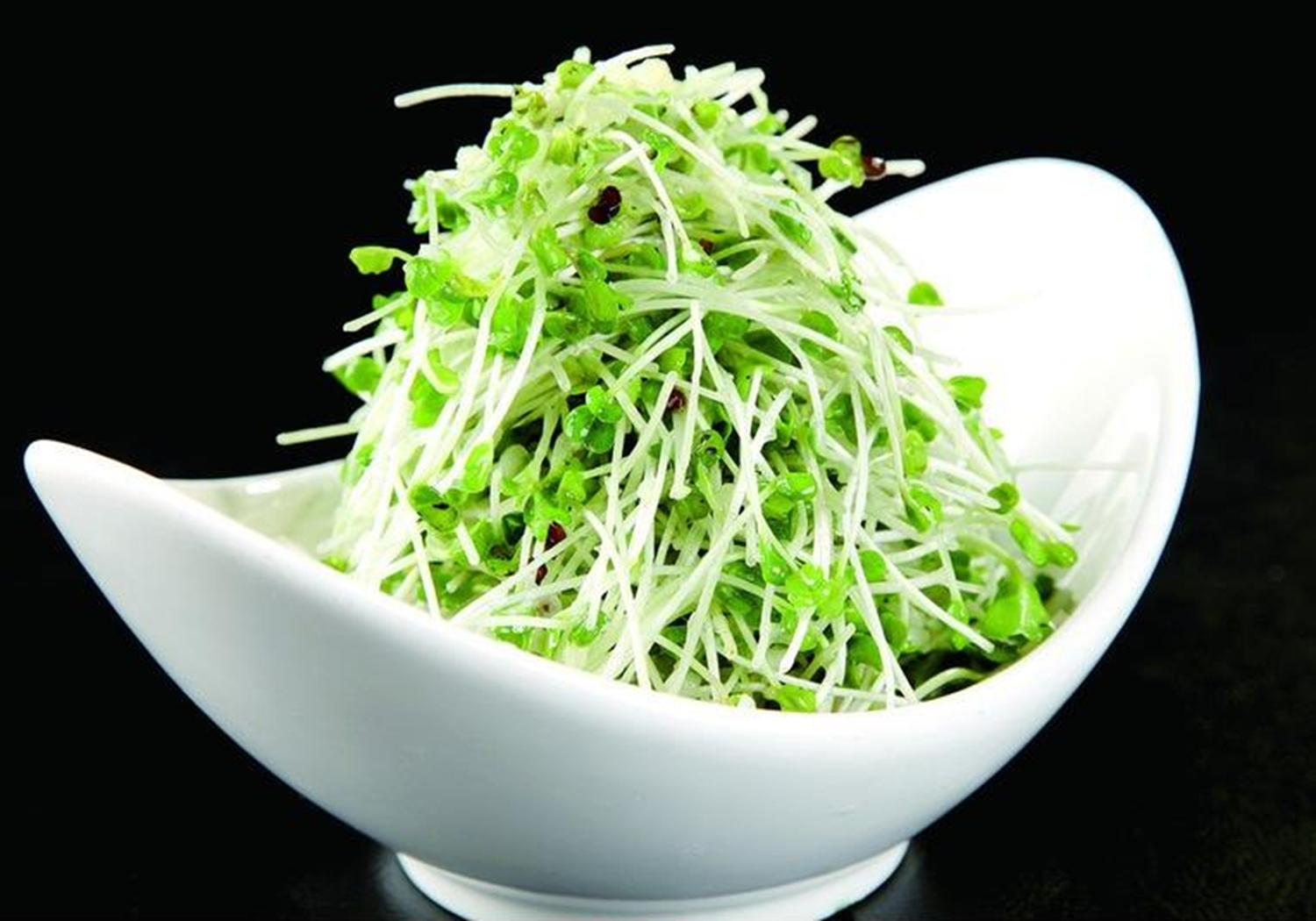 芽菜- 优质问答专区