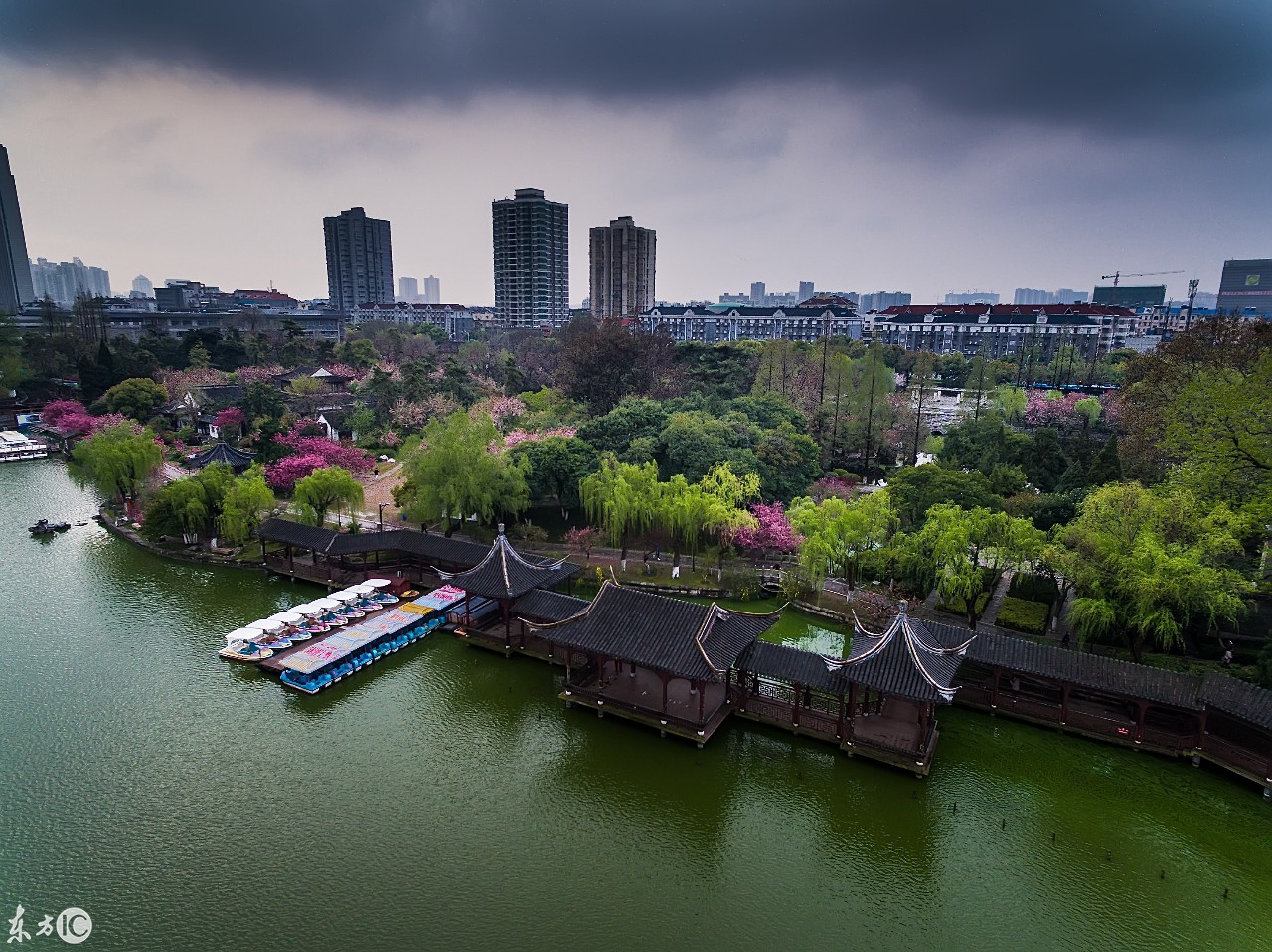 航拍南京莫愁湖,海棠盛开,风景如画!