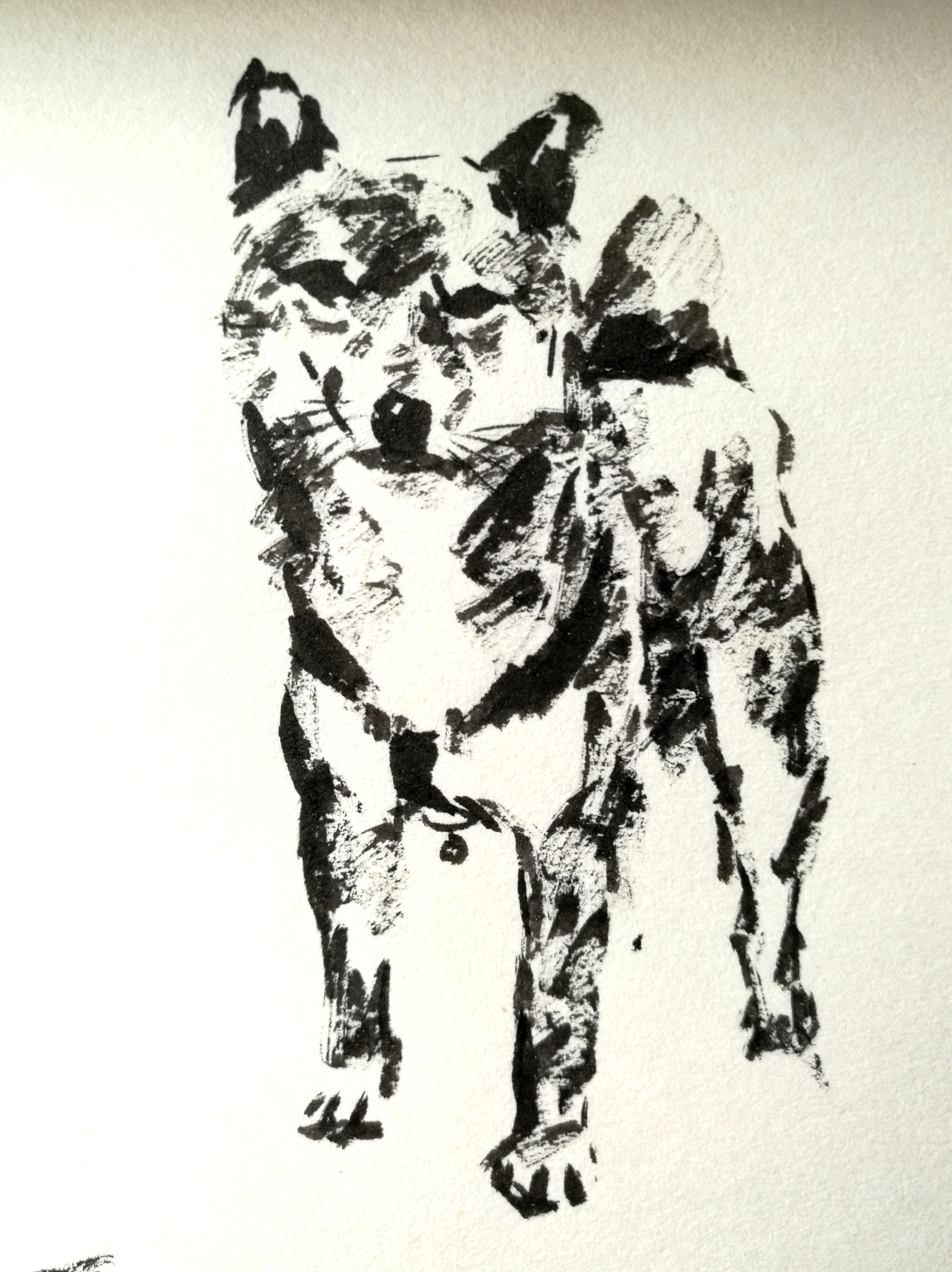 素描动物画:如何画一只对你微笑的柴犬