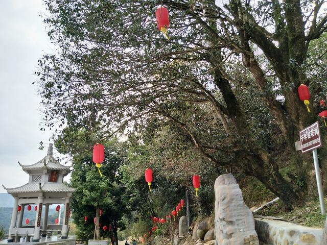 福建佛教古刹巡展之:永春观音寺