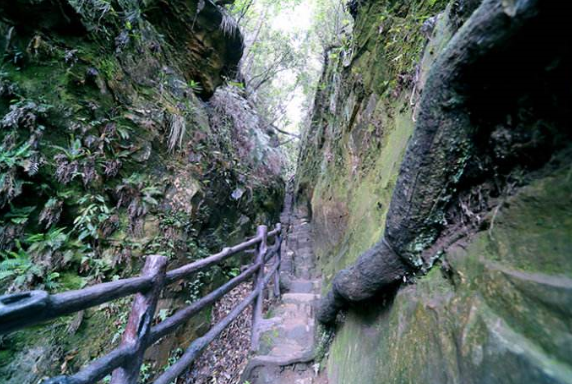 走进百猴谷,领略张家界最美的峡谷