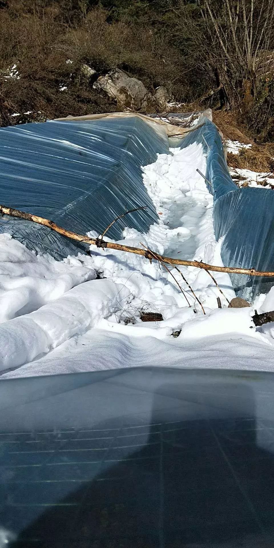 西藏山南市遭受雪灾