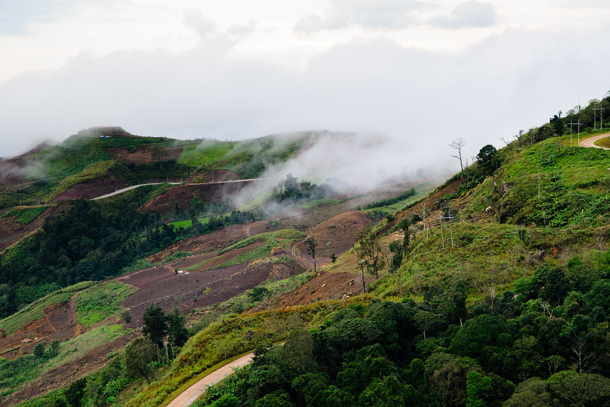 鄂嘉风景视频下载网站_喉软骨发育不良多大会好
