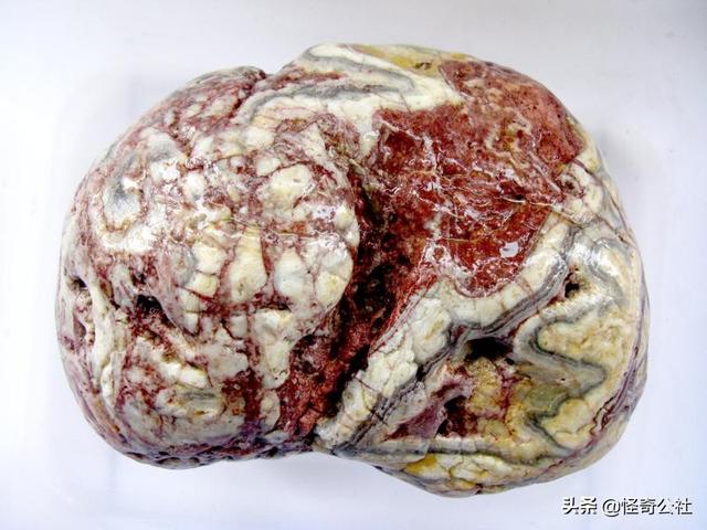 每日雨花石精选:马脑(石名),红白相间,宽达25公分,珍贵稀