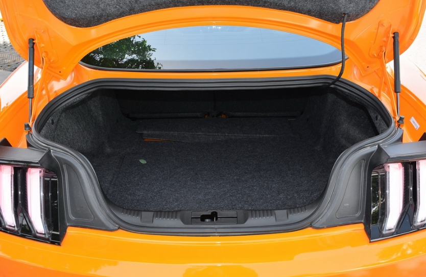 mustang既时尚又大气,开出去很有面子,符合年轻人的审美