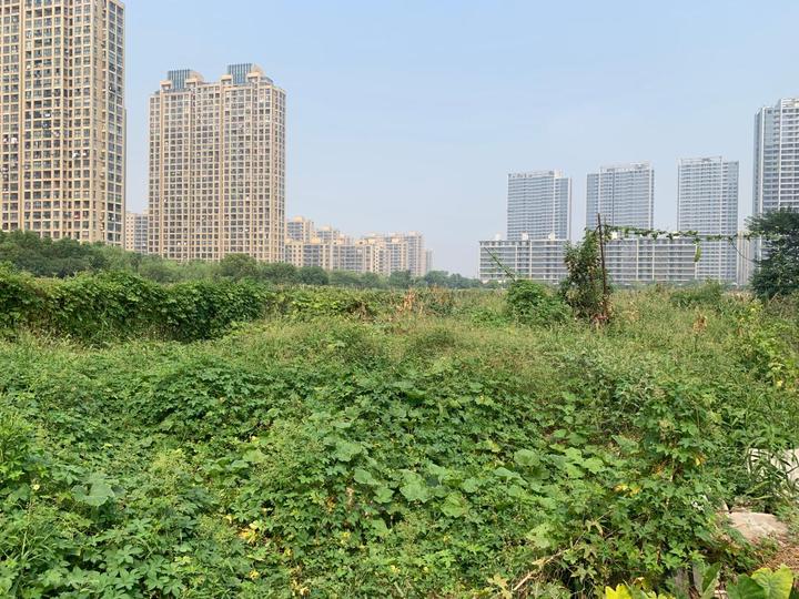 2020年杭州新年宅地首拍,临平山北限价2万