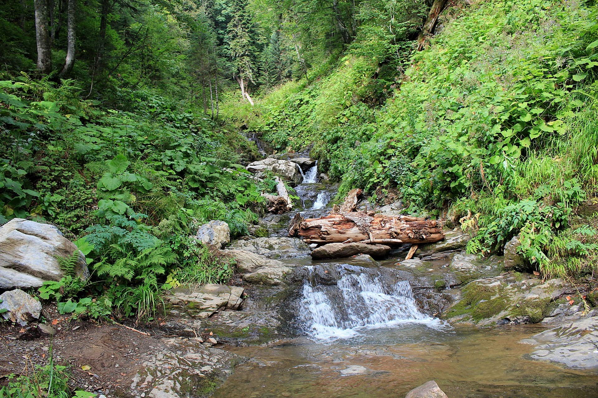 浙江省杭州西北四十公里,隐藏着一片被誉为"浙江杭州绿意"的宝地——