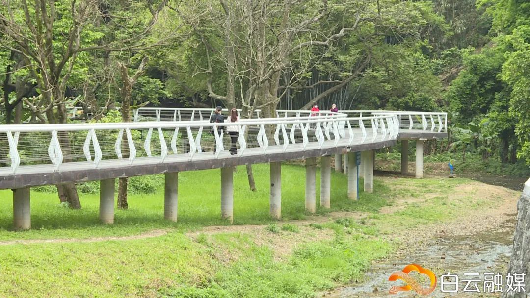 翠绿满屏!大源村的"碧道 口袋公园"建好了!
