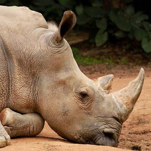 农村养老保险一年交100元,60岁后能领多少钱