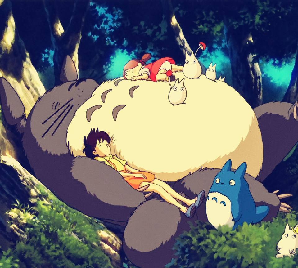 龙猫,宫崎骏的经典动漫,用心去感受的一个童话故事!