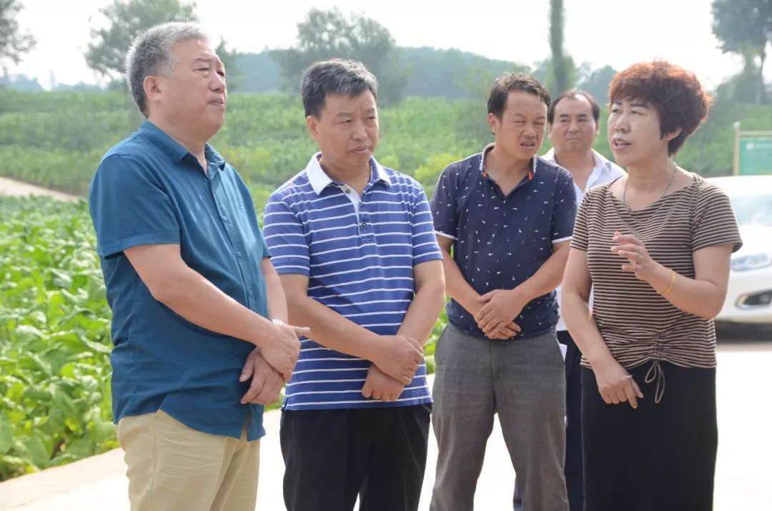 强基础 建平台 聚合力 兴产业——洛南县石门镇实施精准扶贫纪实