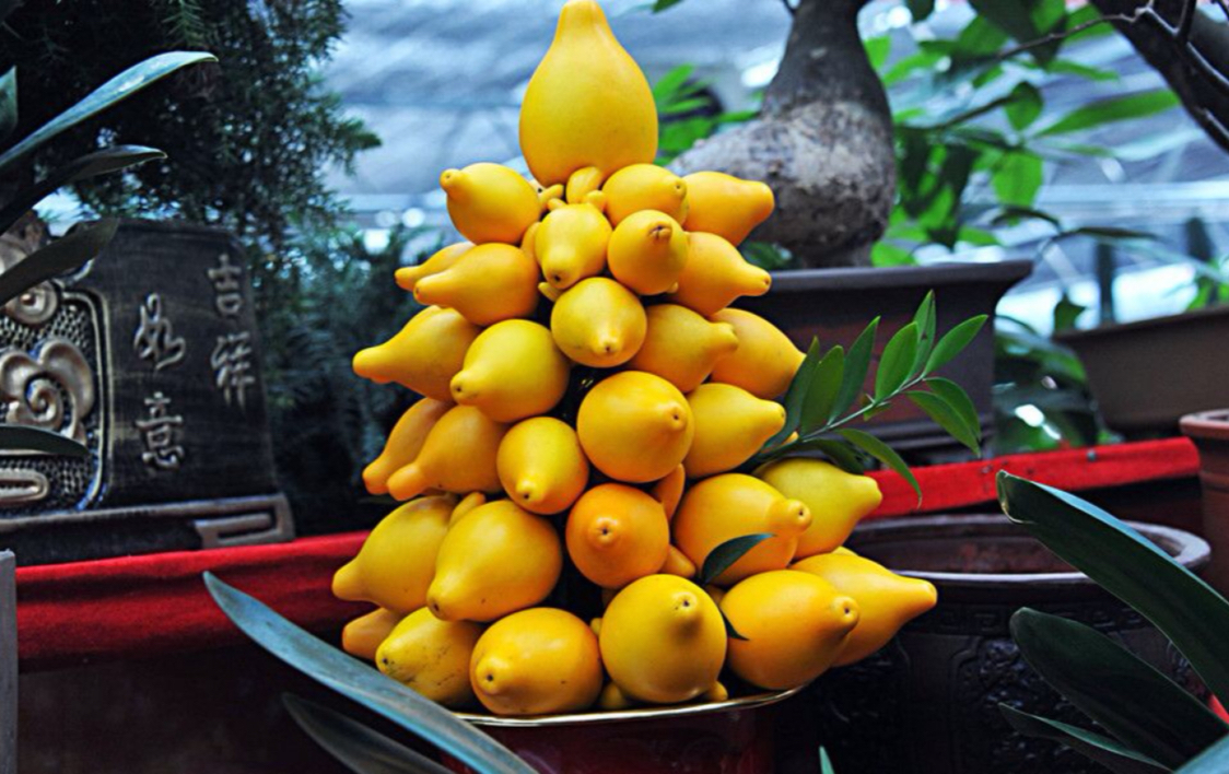 五种罕见的水果,有些人可能连这些水果的名字都没听说过