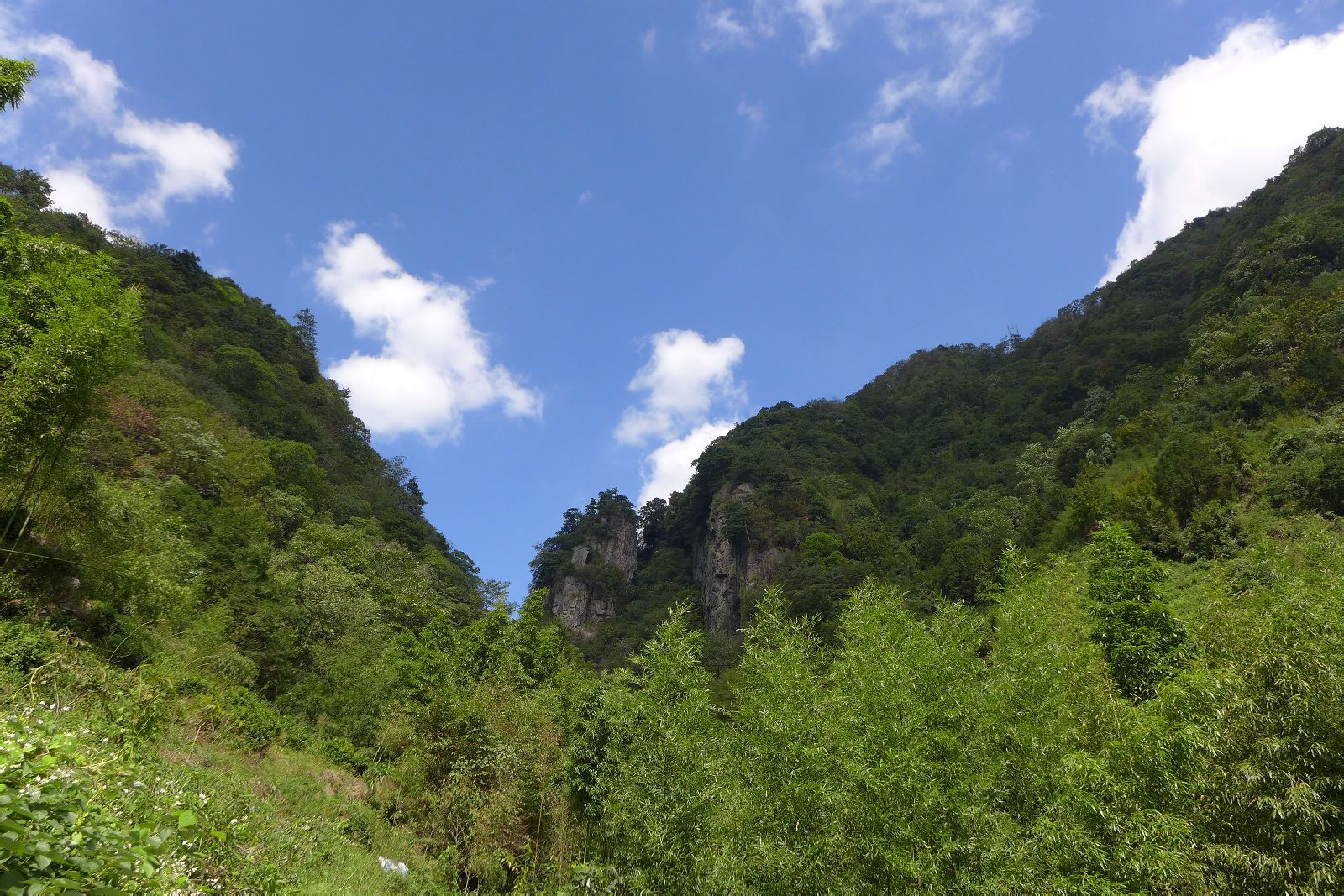 桂林猫儿山,广州瀛洲生态公园……细数那些空气非常好的旅游景点