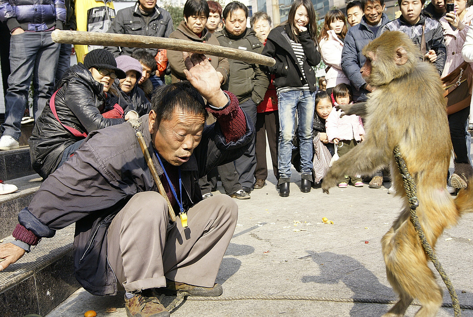 耍猴儿艺人图片