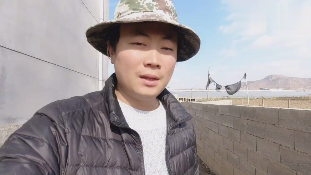 鸭和鹅素来不和,没想到这次打架叨受伤了,抓鹅抓的鸡飞狗跳