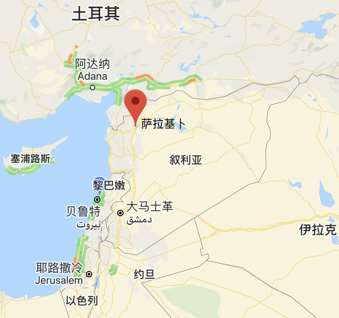 叙利亚政府军攻下伊德利卜省重镇萨拉基卜