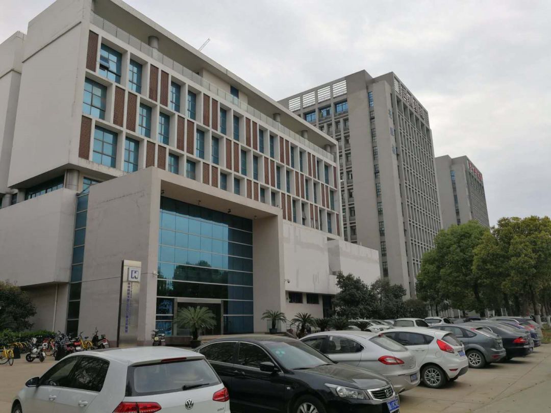 周末丨丝宝集团梁亮胜:此生武汉是故乡!