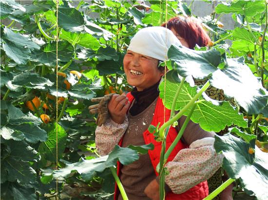 在智能温室工作的农民喜笑颜开