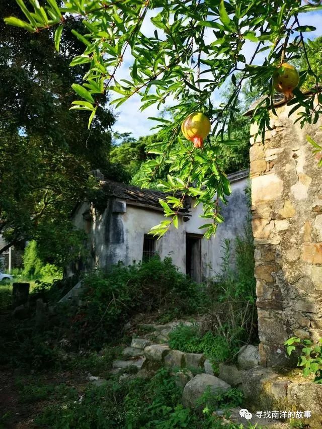 陆丰华侨农场雷打石山上的矿区