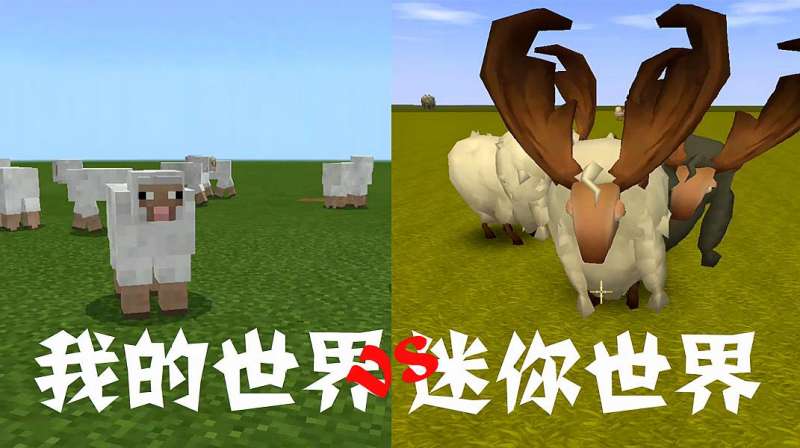 我的世界vs迷你世界，MC的羊有重要作用迷你的只是声音好听？,游戏,沙盒类,好看视频
