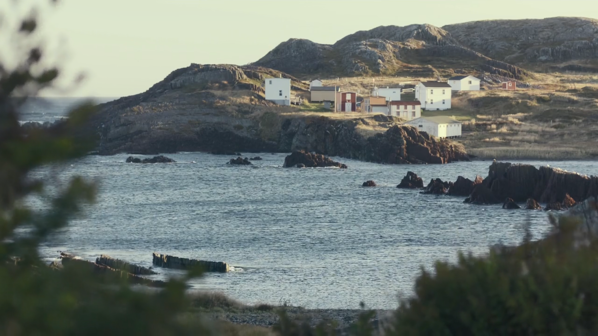 豆瓣9.1分爱情片《莫娣》:"平淡天真,本就是爱情该有的样子"