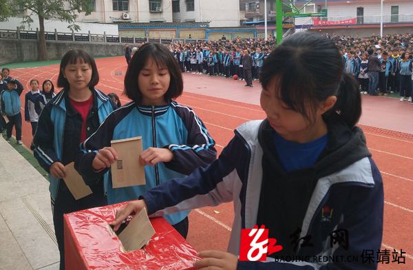 保靖县雅丽中学校花图片