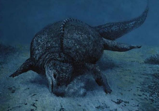 部分地区均有分布,其中准噶尔巨犀属是有史以来最大的陆生哺乳动物