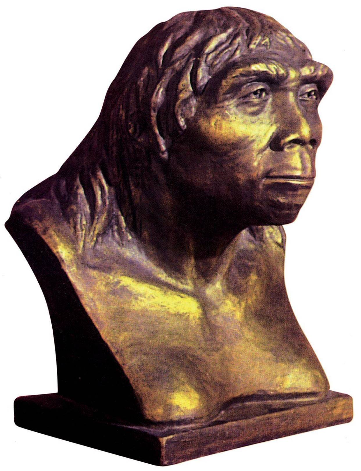 人类是起源于非洲,还是遍地开花?中国人是北京猿人的后代么?